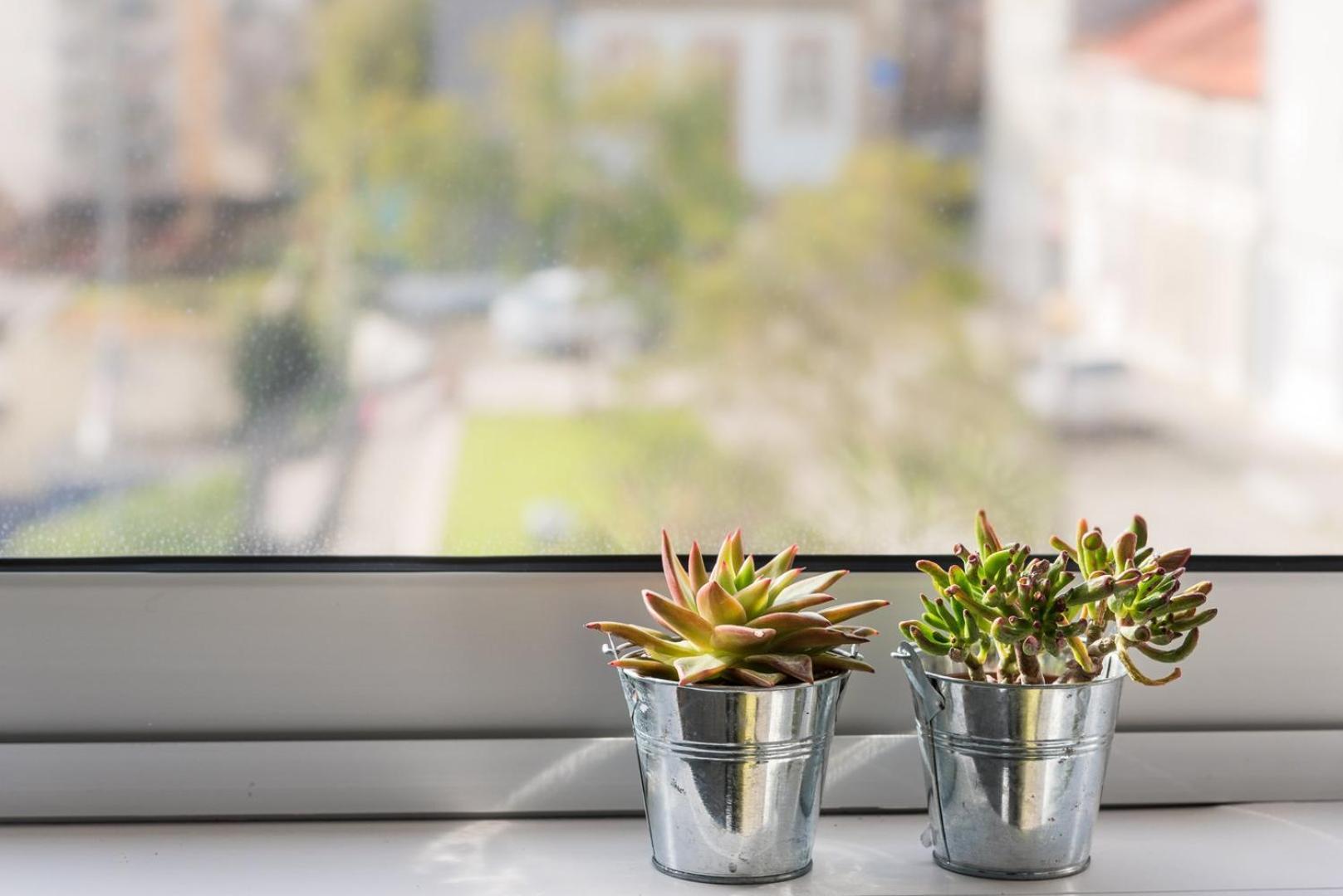 Guestready - Assuntos De Recreio Apartment Porto Luaran gambar